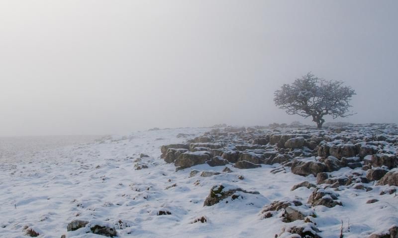 febrero2012.jpg